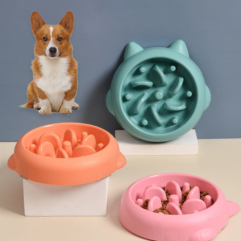 Slow Feeder Dog Bowl – Bone Design Anti-Gulp Feeding Dish