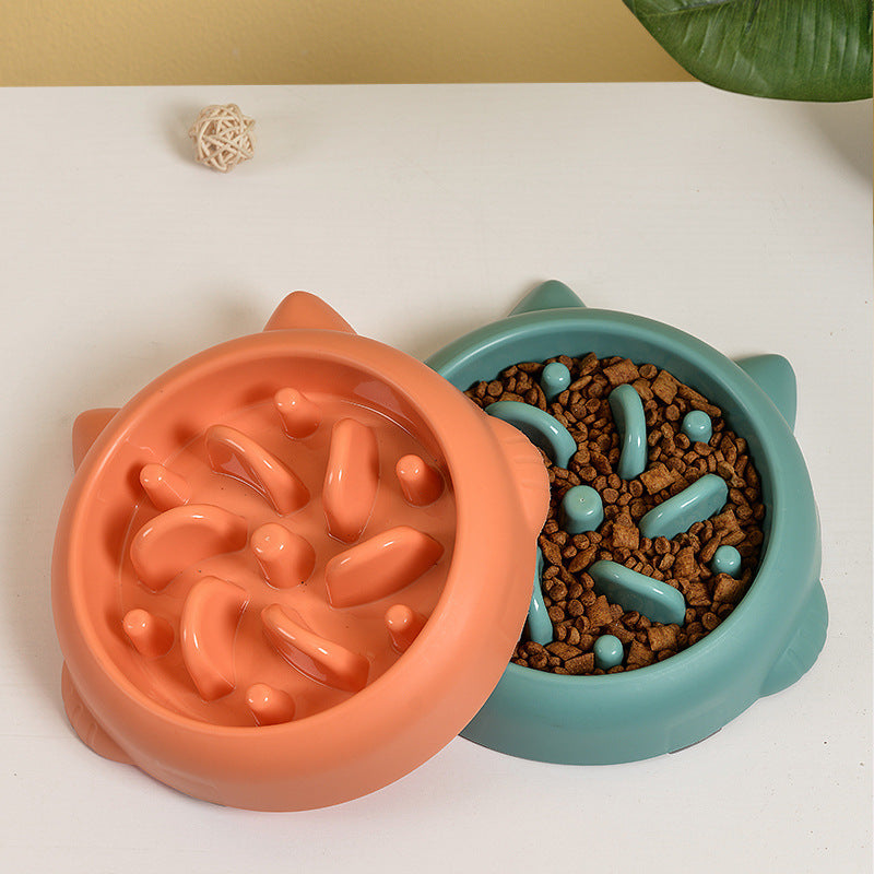 Slow Feeder Dog Bowl – Bone Design Anti-Gulp Feeding Dish